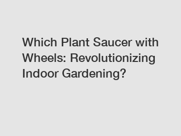 Which Plant Saucer with Wheels: Revolutionizing Indoor Gardening?