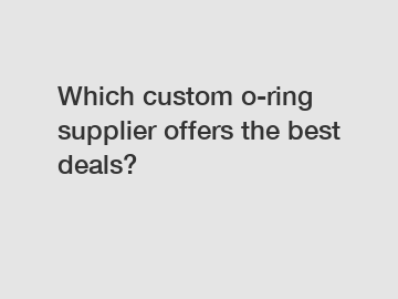 Which custom o-ring supplier offers the best deals?