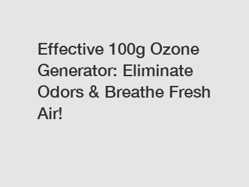 Effective 100g Ozone Generator: Eliminate Odors & Breathe Fresh Air!