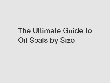 The Ultimate Guide to Oil Seals by Size