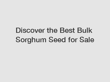 Discover the Best Bulk Sorghum Seed for Sale