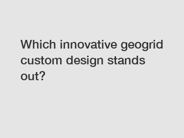 Which innovative geogrid custom design stands out?