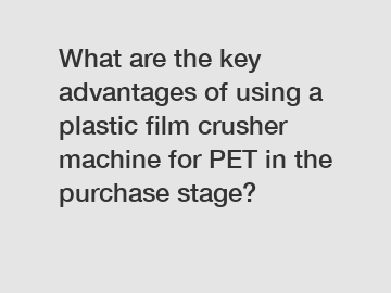 What are the key advantages of using a plastic film crusher machine for PET in the purchase stage?